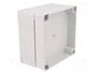 FIBOX MNX Carcasa Universal Gris 130x130x75mm