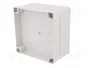 FIBOX MNX Carcasa Universal Gris 130x130x75mm
