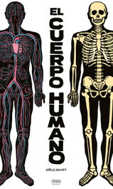 EDELVIVES, El cuerpo humano - EDITORIAL GRANDES PERSONNES