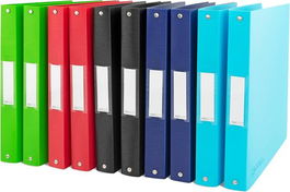 Carpeta De Anillas Rapesco Pp A4 4 An.35Mm Surtidos (Set de 10)