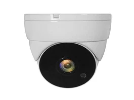 LevelOne ACS-5302 Cámara de Seguridad CCTV 1080p, Domo para Techo, Interior y Exterior, Resistente IP67 con Visión Nocturna IR de 30m