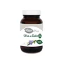 EL GRANERO Uña de Gato Forte 400mg, 100 comprimidos