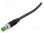 MURRELEKTRONIK Cable para sensores M8 macho recto 3m