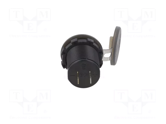 ESOL Alimentador USB con USB A y USB C Verde