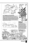 Aprende A Dibujar Dinosaurios