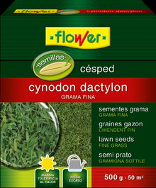 Cynodon dactylon Semilla de Césped 500g
