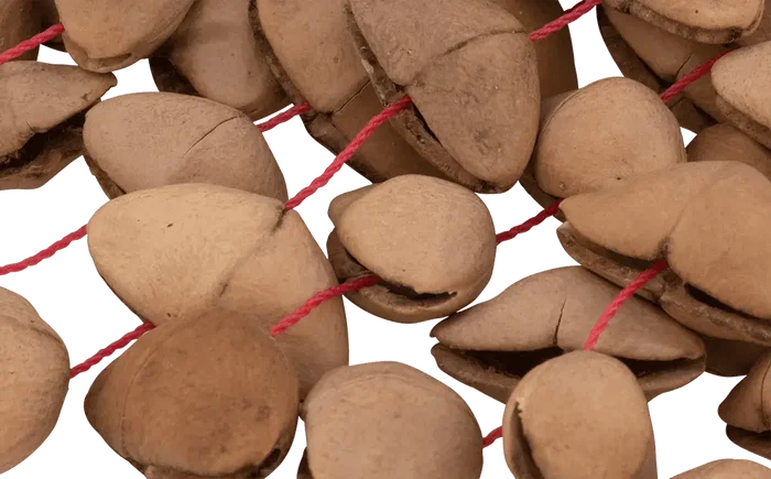 PEARL Pulsera Shaker Brazalete 7" Kenari