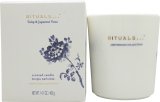 Rituals Vela aromática Amsterdam Collection Tulip & Japanese Yuzu 400 g Rituals Vela aromática Amsterdam Collection Tulip & Japanese Yuzu 400 g