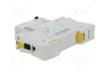 SCHNEIDER ELECTRIC iC60N Interruptor magnetotérmico 10A 1P Curva D