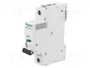 SCHNEIDER ELECTRIC iC60N Interruptor magnetotérmico 10A 1P Curva D