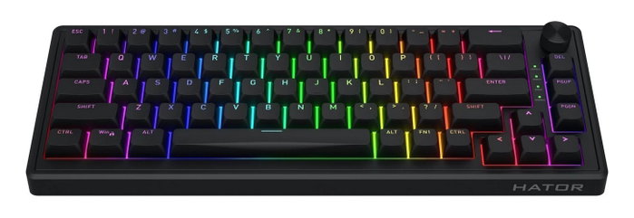 Hator Skyfall 65 Teclado Mecánico Gaming Negro Layout Polaco RGB USB Hator Skyfall 65 Teclado Mecánico Gaming Negro Layout Polaco RGB USB