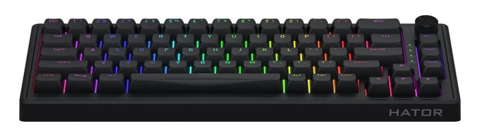 Hator Skyfall 65 Teclado Mecánico Gaming Negro Layout Polaco RGB USB Hator Skyfall 65 Teclado Mecánico Gaming Negro Layout Polaco RGB USB