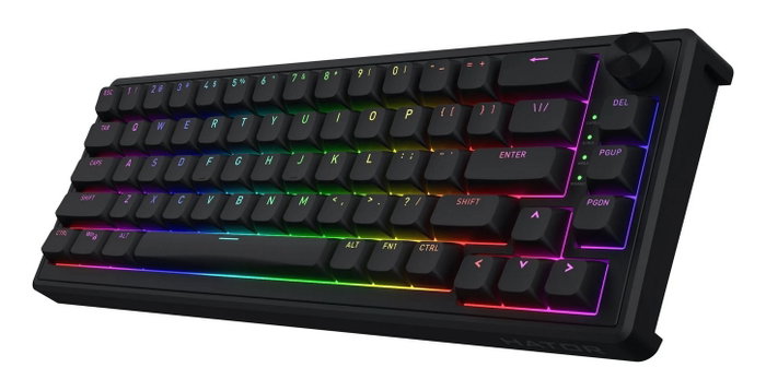 Hator Skyfall 65 Teclado Mecánico Gaming Negro Layout Polaco RGB USB Hator Skyfall 65 Teclado Mecánico Gaming Negro Layout Polaco RGB USB