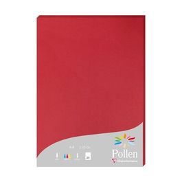 Papel Clairefontaine Pollen A4 210G 25H Grosella