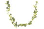 DKD Home Decor Guirnalda de Plástico Verde 20x20x250 cm