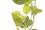 DKD Home Decor Guirnalda de Plástico Verde 20x20x250 cm