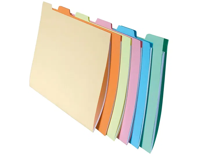 Exacompta Subcarpeta de Cartulina 210 g, DIN A4 Apaisada, con Pestaña Lateral, 6 Colores Surtidos, Certificado PEFC