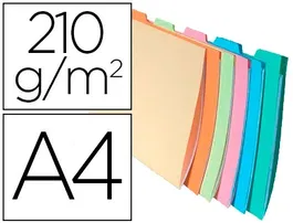 Exacompta Subcarpeta de Cartulina 210 g, DIN A4 Apaisada, con Pestaña Lateral, 6 Colores Surtidos, Certificado PEFC