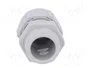 LAPP Sello aislante SKINTOP® STR PG11 gris claro