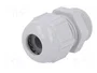 LAPP Sello aislante SKINTOP® STR PG11 gris claro