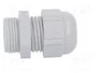 LAPP Sello aislante SKINTOP® STR PG11 gris claro
