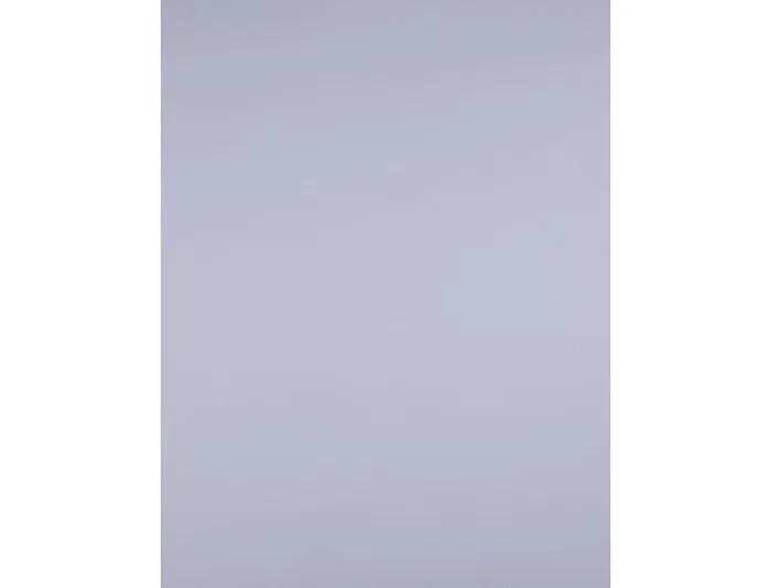 Liderpapel Cartulina 50x65 cm Lila 240 gr unidad