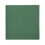 PAPSTAR Servilletas verdes de 2 capas, 24,0 x 24,0 cm