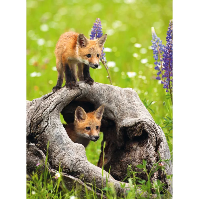 Ravensburger Puzzle Fotográfico 300 Piezas XXL - Animales Exóticos - Interior - Mixto