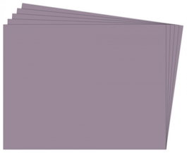 FIXO Paquete de 25 Cartulinas de 180g Gris Plomo 50x65 cm