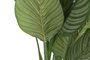 DKD Home Decor Planta Calatea Verde PE