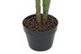 DKD Home Decor Planta Calatea Verde PE