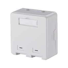 METZ CONNECT Jack Keystone AP 2 Puertos, Placa de Conexión sin Conectar, Blanco, 1309150002KE
