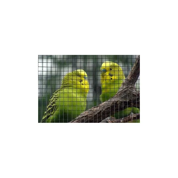 Nature Malla de alambre cuadrada 3306138929075 - Natural, 0.5x3 m, 19 mm espesor, Verde - Ideal para jardinería y cercados