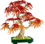 Lego Bonsái De Arce Rojo Japonés, Set de Construcción para Adultos, 474 Piezas, Decoración Natural