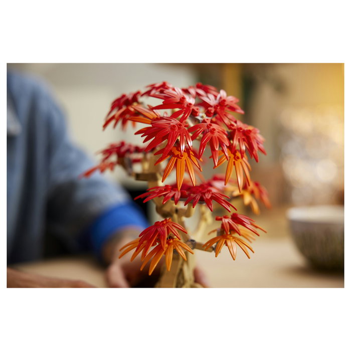 LEGO Botanicals Bonsái de Arce Rojo Japonés 10348