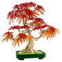 LEGO Botanicals Bonsái de Arce Rojo Japonés 10348