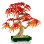 LEGO Botanicals Bonsái de Arce Rojo Japonés 10348