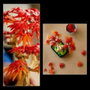 LEGO Botanicals Bonsái de Arce Rojo Japonés 10348