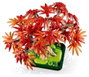LEGO Botanicals Bonsái de Arce Rojo Japonés 10348