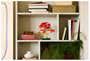 LEGO Botanicals Bonsái de Arce Rojo Japonés 10348
