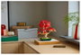 LEGO Botanicals Bonsái de Arce Rojo Japonés 10348