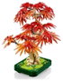 LEGO Botanicals Bonsái de Arce Rojo Japonés 10348