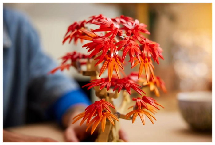 LEGO Botanicals Bonsái de Arce Rojo Japonés 10348