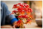 LEGO Botanicals Bonsái de Arce Rojo Japonés 10348