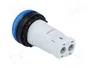 EATON ELECTRIC Lámpara de control RMQ-Titan azul 22mm