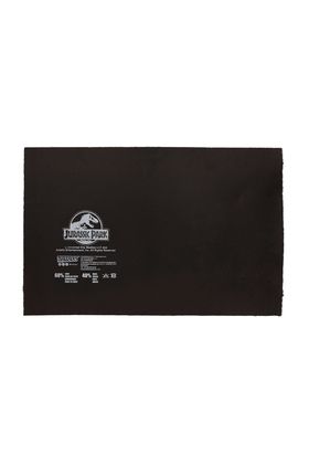 SD Toys Felpudo Logo Jurassic Park 60x40 cm