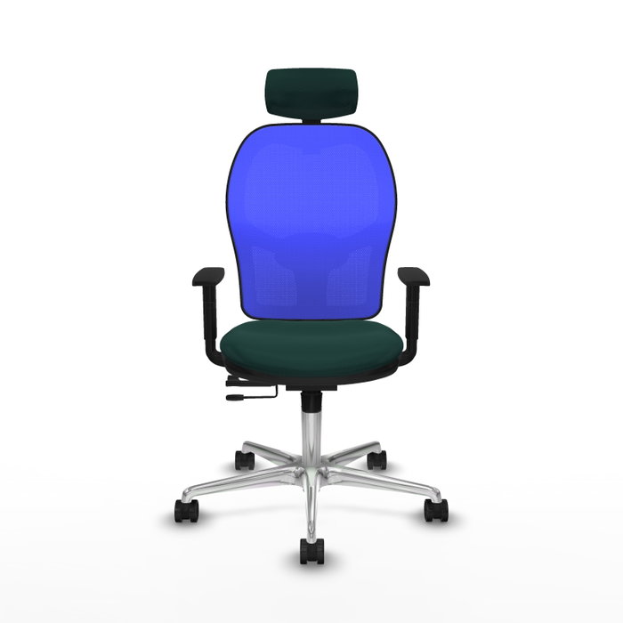 PIQUERAS Y CRESPO Silla de oficina Jorquera con mecanismo Sincro/Traslack Verde botella y Azul PIQUERAS Y CRESPO Silla de oficina Jorquera con mecanismo Sincro/Traslack Verde botella y Azul