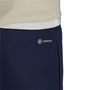 Pantalón de Entrenamiento de Fútbol para Adultos Adidas Entrada22 Azul oscuro Hombre XL