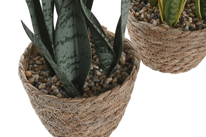 DKD Home Decor Planta Sansevieria Surtido de 2 Modelos en PE y Fibra