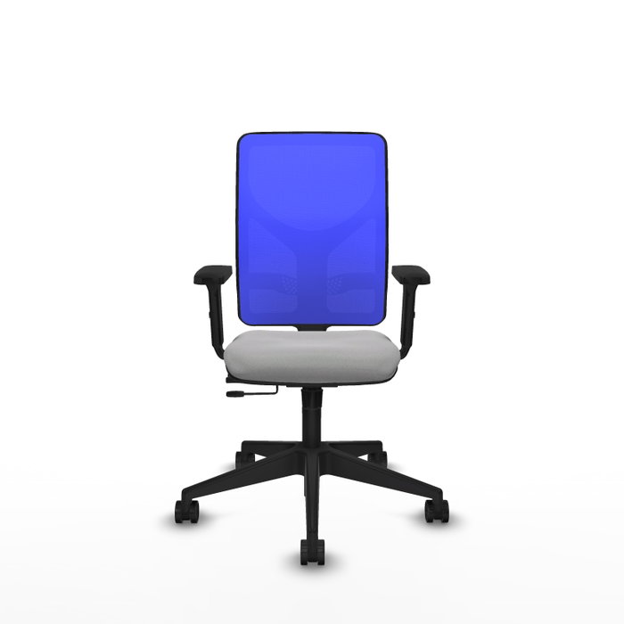 PIQUERAS Y CRESPO Silla de oficina Motilla con mecanismo Sincro/Traslack, Gris claro y Azul